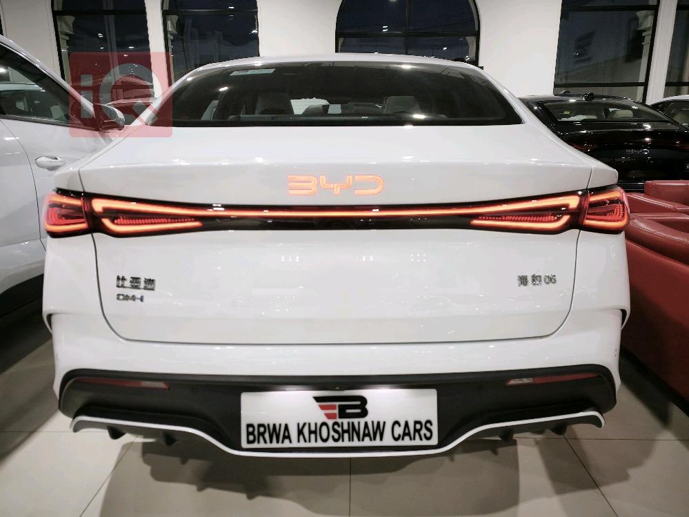 بي واي دي سيل 06 DM-i